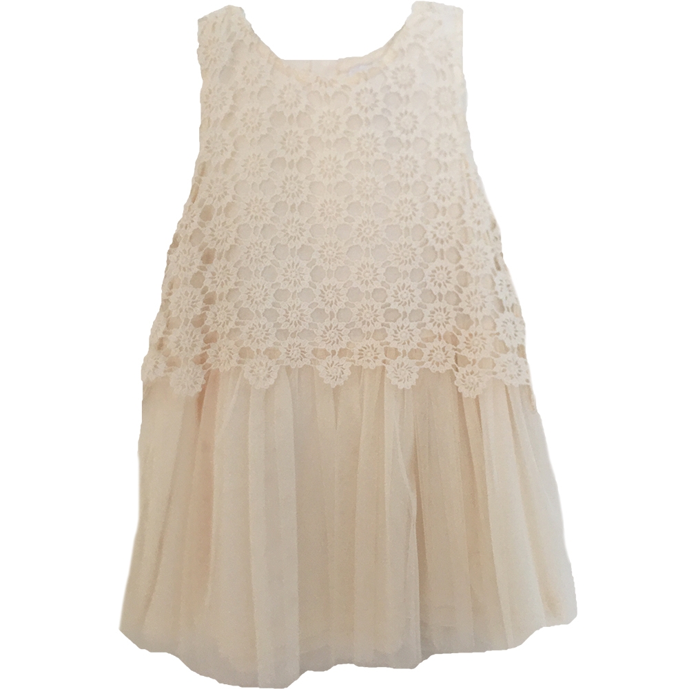 Guess Lace Tulle Dress